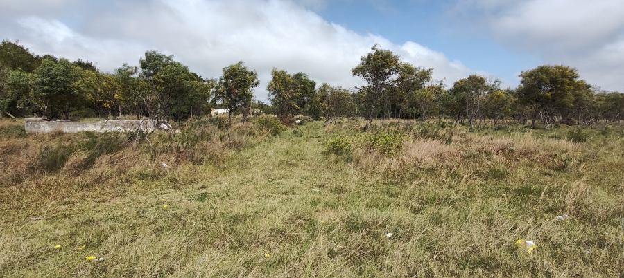0 Bedroom Property for Sale in Greenbushes Eastern Cape